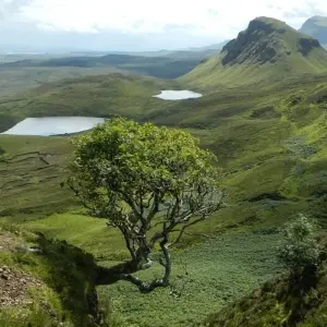 Explore Scenic Ireland for 13 days with Globus and discover unforgettable experiences - Photo 8