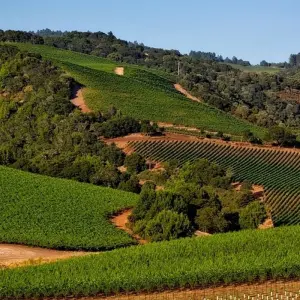 Explore California Classics with San Diego for 13 days with Globus and discover unforgettable experiences - Photo 5