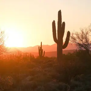 Explore Lost Canyons of the Southwest for 9 days with Globus and discover unforgettable experiences - Photo 6