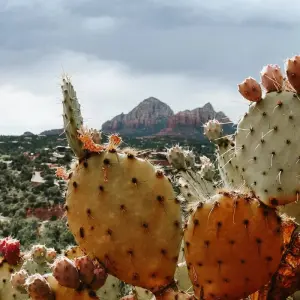 Explore Lost Canyons of the Southwest for 9 days with Globus and discover unforgettable experiences - Photo 9