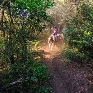 Explore Costa Rica's Pura Vida Escape with Tortuguero for 10 days with Globus and discover unforgettable experiences - Photo 2