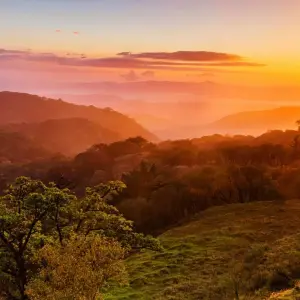 Explore Costa Rica's Pura Vida Escape with Tortuguero for 10 days with Globus and discover unforgettable experiences - Photo 4