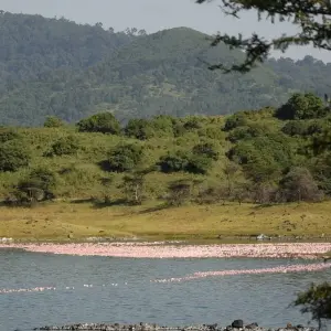 Explore Tanzania: The Serengeti & Beyond for 9 days with Globus and discover unforgettable experiences - Photo 3