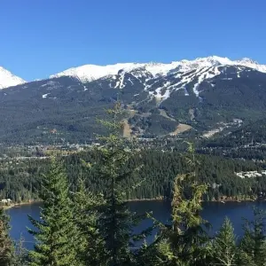 Explore Spirit of the Rockies with Alaska Cruise for 19 days with Globus and discover unforgettable experiences - Photo 5