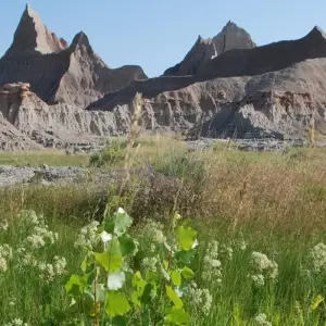 Explore The Classic Lodges & Parks of the West for 11 days with Globus and discover unforgettable experiences - Photo 8