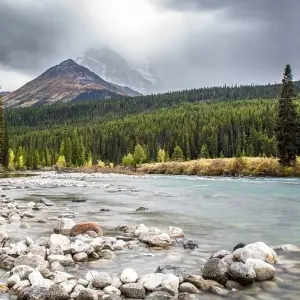 Explore Spirit of the Rockies with Alaska Cruise for 19 days with Globus and discover unforgettable experiences - Photo 7