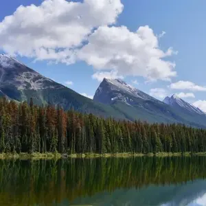 Explore Spirit of the Rockies with Alaska Cruise for 19 days with Globus and discover unforgettable experiences - Photo 9