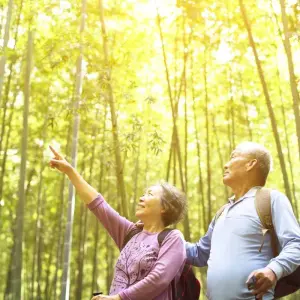 Explore Independent Tokyo, Kyoto & Osaka City Stays for 9 days with Globus and discover unforgettable experiences - Photo 5