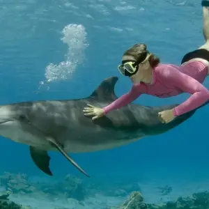 Explore Egypt Wonders: 11 Days Tour Across Egypt Wonders for 11 days with Go Tours Egypt and discover unforgettable experiences - Photo 6