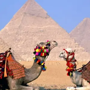 Explore Egypt Wonders: 11 Days Tour Across Egypt Wonders for 11 days with Go Tours Egypt and discover unforgettable experiences - Photo 11