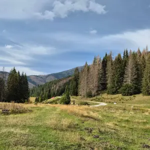 Explore The best part of Balkan Peaks Trail Albania & Montenegro in 6 Day for 6 days with Go as Local  and discover unforgettable experiences - Photo 10