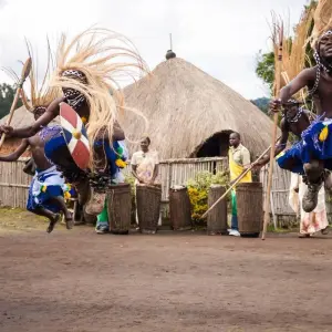 Explore 02 Days Gorilla Trek Rwanda for 2 days with GoExplore Safaris and discover unforgettable experiences - Photo 2