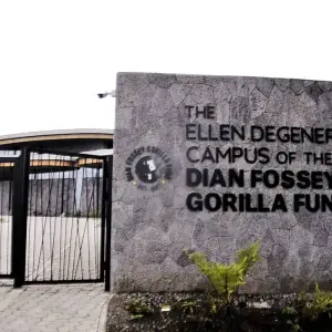 Explore 02 Days Gorilla Trek Rwanda for 2 days with GoExplore Safaris and discover unforgettable experiences - Photo 3