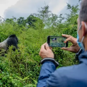 Explore 02 Days Gorilla Trek Rwanda for 2 days with GoExplore Safaris and discover unforgettable experiences - Photo 5