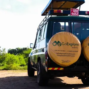 Explore 11 Days Gorillas & The Great Migration and Big Five for 11 days with GoExplore Safaris and discover unforgettable experiences - Photo 5