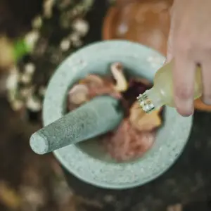 Explore Ayurveda Tour Kerala for 5 days with GoBook India Tours and discover unforgettable experiences - Photo 4