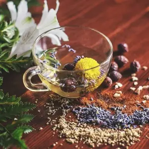 Explore Ayurveda Tour Kerala for 5 days with GoBook India Tours and discover unforgettable experiences - Photo 5