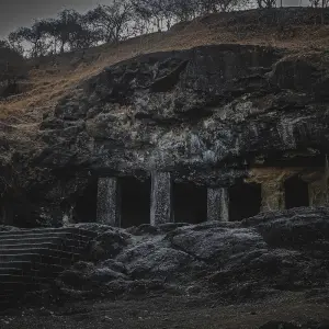 Explore Gir National Park Tour with Mumbai for 5 days with GoBook India Tours and discover unforgettable experiences - Photo 4