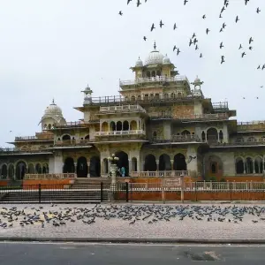 Explore Golden Triangle with Ranthambore and Jim Corbett National Park for 12 days with GoBook India Tours and discover unforgettable experiences - Photo 5