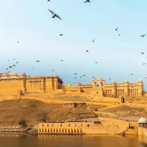 Explore Rajasthan Wildlife Safari Tour for 10 days with GoBook India Tours and discover unforgettable experiences - Photo 5