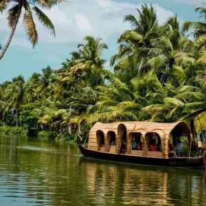 Explore Kerala Backwaters and Ayurveda Tour for 7 days with GoBook India Tours and discover unforgettable experiences - Photo 3