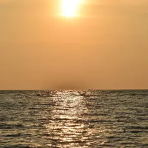 Explore Kerala Backwaters and Ayurveda Tour for 7 days with GoBook India Tours and discover unforgettable experiences - Photo 4