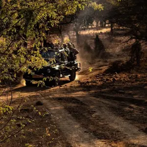 Explore Tailor Made India: The Golden Triangle and Wildlife for 9 days with GoBook India Tours and discover unforgettable experiences - Photo 5