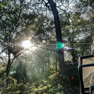 Explore Ranthambore Tiger Photography Tour for 8 days with GoBook India Tours and discover unforgettable experiences - Photo 6