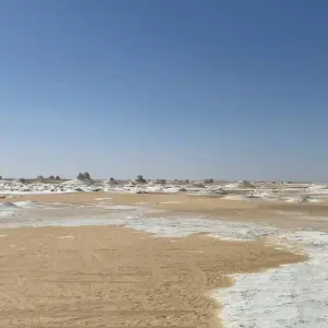 Explore Egypt and Jordan Charms: 14-Day Tour with, Nile Cruise, White Desert, Petra and Dead Sea for 14 days with Golden Egypt and discover unforgettable experiences - Photo 4