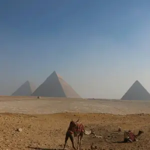 Explore 10 Days in Egypt: Cairo Wonders, Nile Cruise & Hurghada Beaches for 10 days with Golden Egypt and discover unforgettable experiences - Photo 6