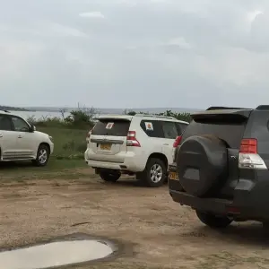 Explore 3-Day Trip To Akagera National Park for 3 days with Golden Rwanda Safaris Ltd and discover unforgettable experiences - Photo 4