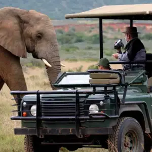 Explore 3-Day Combined Nyungwe and Akagera National Park for 3 days with Golden Rwanda Safaris Ltd and discover unforgettable experiences - Photo 4