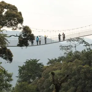 Explore 12-Day Rwanda Safari & Beyond (Volcano National Park, Nyungwe Forest National Park, Akagera National Park) for 12 days with Golden Rwanda Safaris Ltd and discover unforgettable experiences - Photo 4