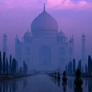 Explore 10 Days 9 Nights Golden Triangle Tour with Shimla for 10 days with Golden Taj Tours and discover unforgettable experiences - Photo 7