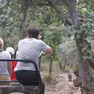 Explore Golden Triangle with Ranthambore Jaipur Delhi ( Taj Mahal ) for 8 days with Golden Taj Tours and discover unforgettable experiences - Photo 11