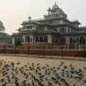 Explore Elite Discovery: Experience the Golden Triangle Privately in 2 Days from Delhi for 2 days with Golden Triangle Tours Of India and discover unforgettable experiences - Photo 6