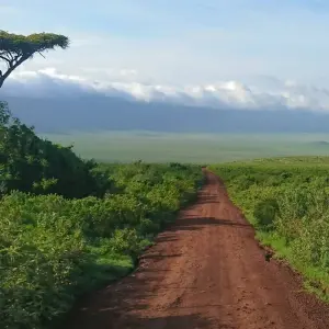 Explore 7 Days Safari and Zanzibar with Flights and Accommodation for 7 days with Golden world explore and discover unforgettable experiences - Photo 2