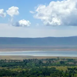 Explore 14 Days Bird Watching for 14 days with Golden world explore and discover unforgettable experiences - Photo 3