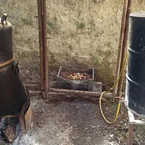 Explore Albania: Mini UNESCO Food Tour for 4 days with Good Albania and discover unforgettable experiences - Photo 3