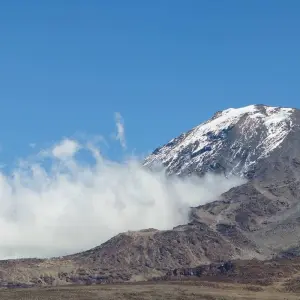 Explore 6 Days Kilimanjaro Climb and 5 Days Safari for 12 days with Golden world explore and discover unforgettable experiences - Photo 11