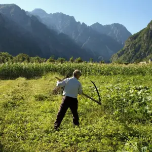 Explore Peaks of the Balkans Three-Country Trek for 10 days with Good Albania and discover unforgettable experiences - Photo 7