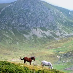 Explore Peaks of the Balkans Three-Country Trek for 10 days with Good Albania and discover unforgettable experiences - Photo 8