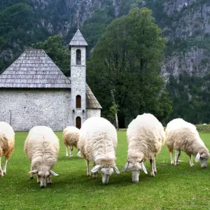 Explore Peaks of the Balkans Three-Country Trek for 10 days with Good Albania and discover unforgettable experiences - Photo 11