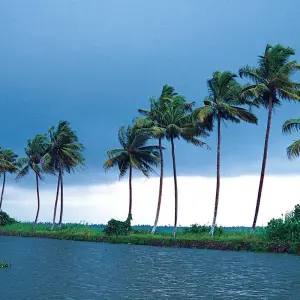 Explore Luxury Kerala Intro for 7 days with Golden Triangle India Tours and discover unforgettable experiences - Photo 5