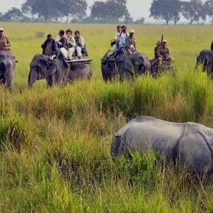 Explore Luxury India with Nepal for 15 days with Golden Triangle India Tours and discover unforgettable experiences - Photo 9