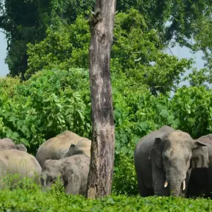 Explore Luxury Kerala Intro for 7 days with Golden Triangle India Tours and discover unforgettable experiences - Photo 9