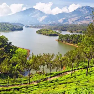 Explore Luxury Kerala Intro for 7 days with Golden Triangle India Tours and discover unforgettable experiences - Photo 10