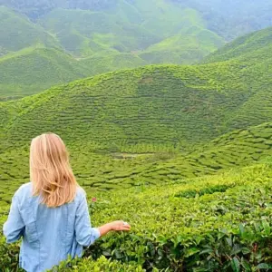 Explore Luxury Kerala Intro for 7 days with Golden Triangle India Tours and discover unforgettable experiences - Photo 11