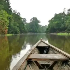 Explore Wild Amazonas Adventure 4-Day Tour for 4 days with Gran Colombia Tours and discover unforgettable experiences - Photo 3