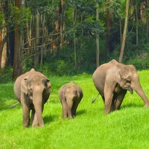 Explore Tour of India for 15 days with Golden Triangle India Tours and discover unforgettable experiences - Photo 2